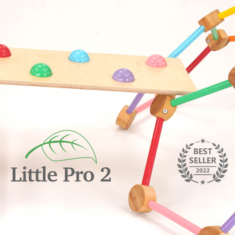 Little Pro 2 Playset